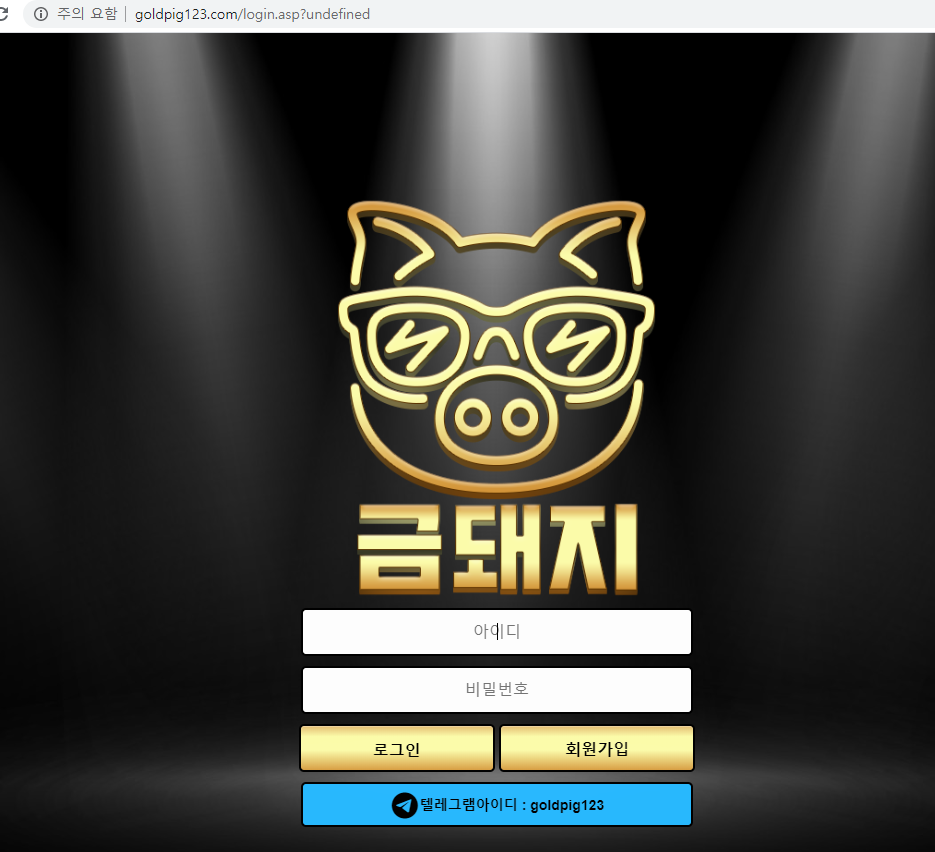 금돼지먹튀