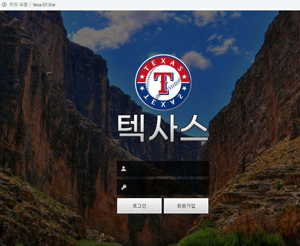 텍사스먹튀