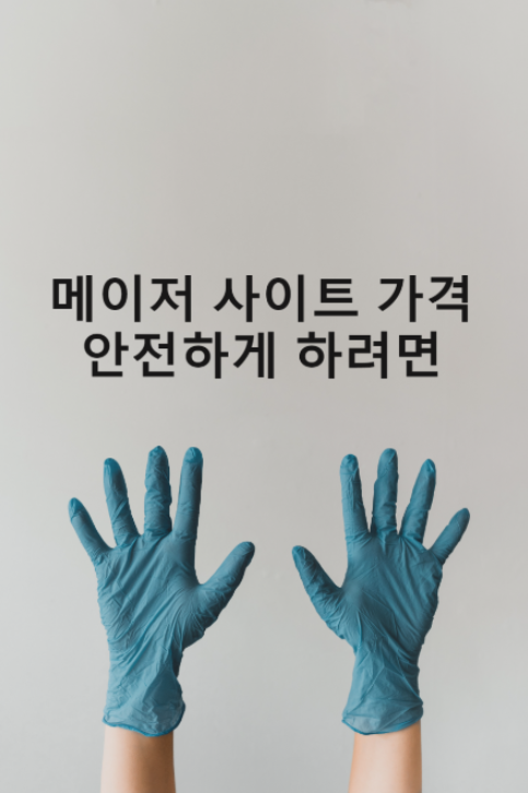 메이저 사이트 가격