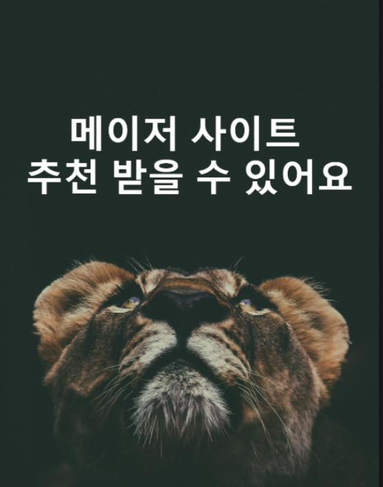 메이저사이트 추천 1