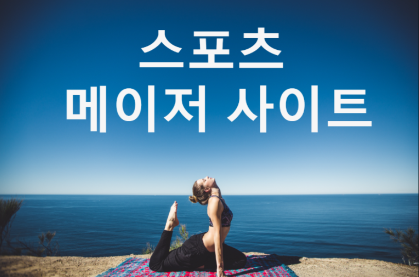 스포츠 메이저 사이트