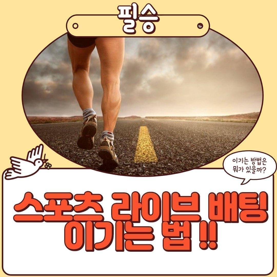 스포츠라이브배팅