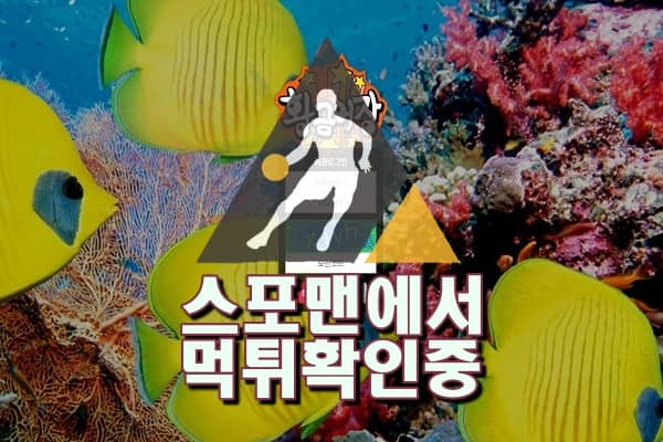 황금어장신규사이트