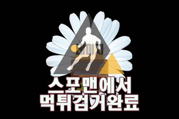 데이지 먹튀사이트