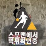 신스포츠 신규사이트