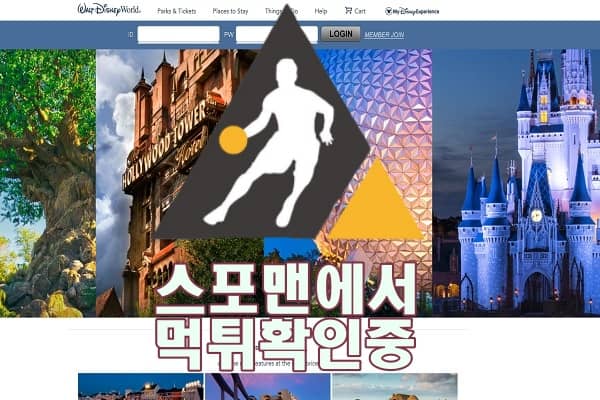 월드디즈니 신규사이트