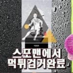 난초먹튀사이트