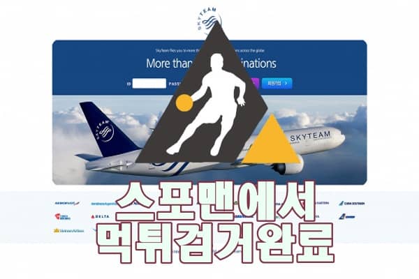 스카이팀 먹튀사이트