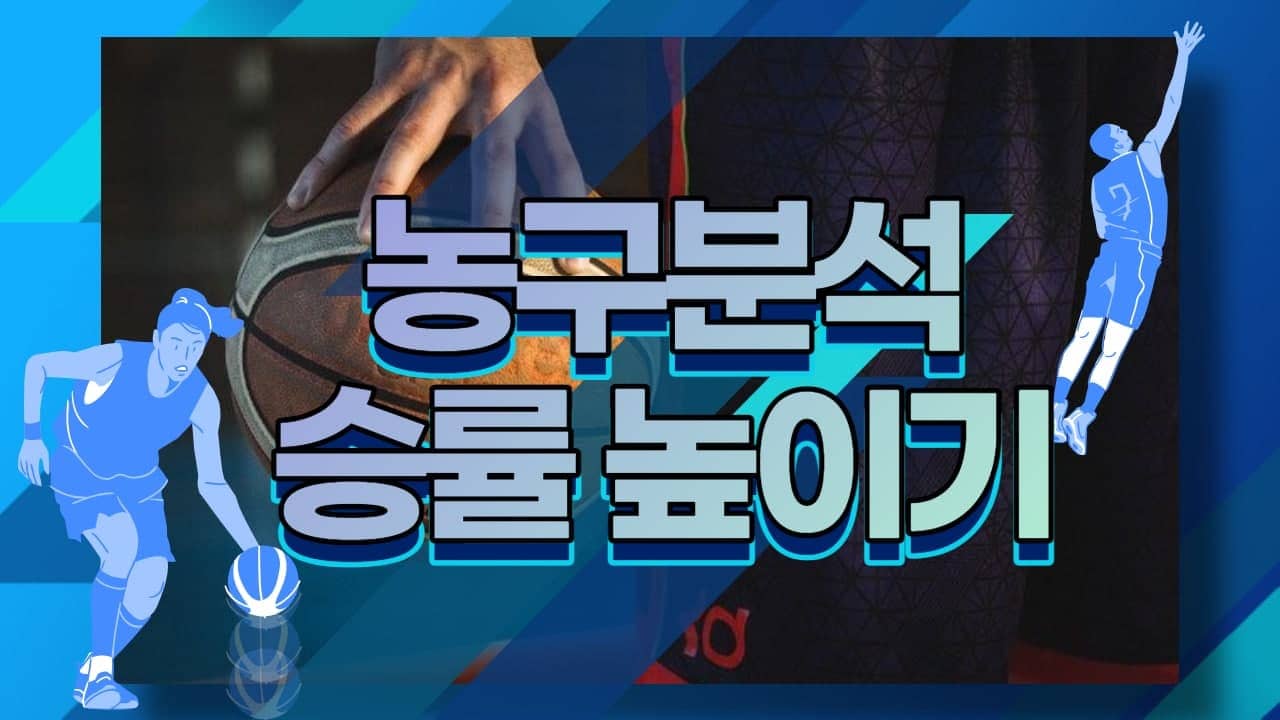 농구분석 어디서 해야 할까