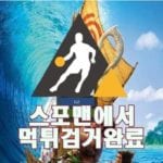 토체스 먹튀사이트