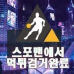 리쉬 먹튀사이트