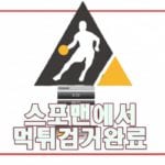 팬더 먹튀사이트