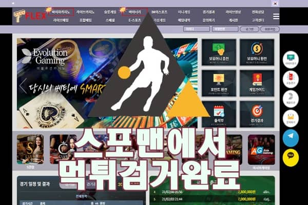 플렉스 먹튀사이트