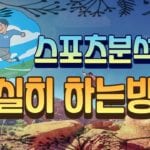 스포츠분석