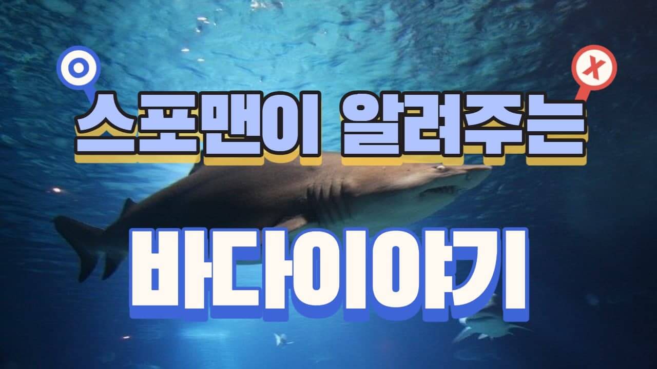 바다이야기 안전하게 이용할 때는