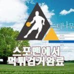 토토사이트 느티나무 먹튀사이트