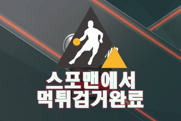 토토사이트 스피닝 먹튀사이트