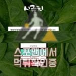 토토 시금치 신규사이트