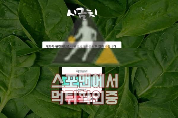 토토 시금치 신규사이트