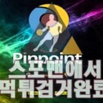 핀포인트 먹튀사이트