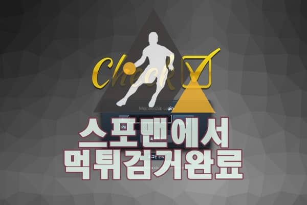 체크 먹튀사이트