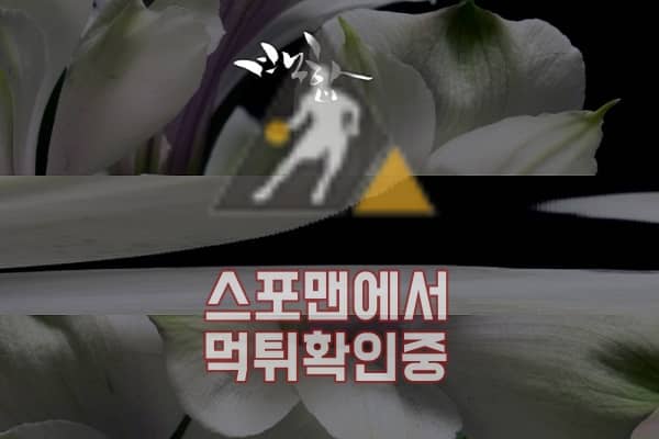 스포츠토토 백합 신규사이트