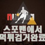 누텔라 먹튀사이트