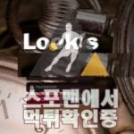 룩스 신규사이트