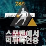 288 신규사이트