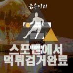 금송아지 먹튀사이트