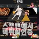 파카라 신규사이트