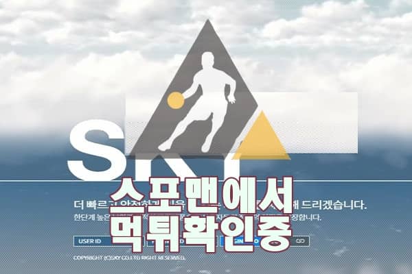 스카이 신규사이트