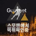 규어벳 신규사이트