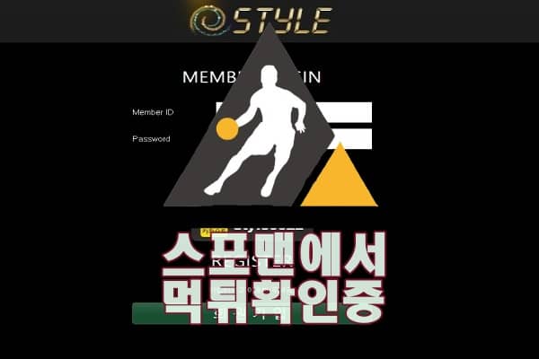 스타일 신규사이트