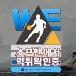 WE 신규사이트