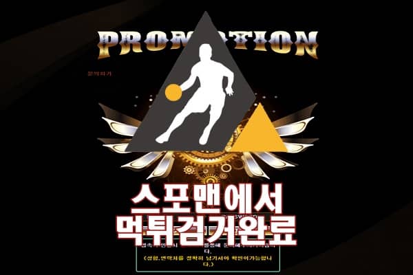 프로모션 먹튀사이트