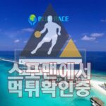 블루레이스 신규사이트 토토사이트 먹튀검증 검증사이트 WWE65.COM