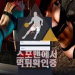 스포맨 핫존 신규사이트 먹튀검증 신규토토 토토사이트 HZN-PT.COM