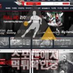 라이언2 신규사이트 배팅사이트 먹튀검증 검증사이트 LA-S40.COM