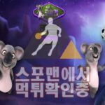 코알라 신규사이트 스포츠토토 먹튀검증 토토사이트 CR-SS.COM