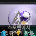 스포토 먹튀사이트 스포츠토토 먹튀검거 bit-kr.com스포맨