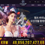 챔스카지노 먹튀사이트 토토사기 먹튀검거 환전검거 cart-914.com